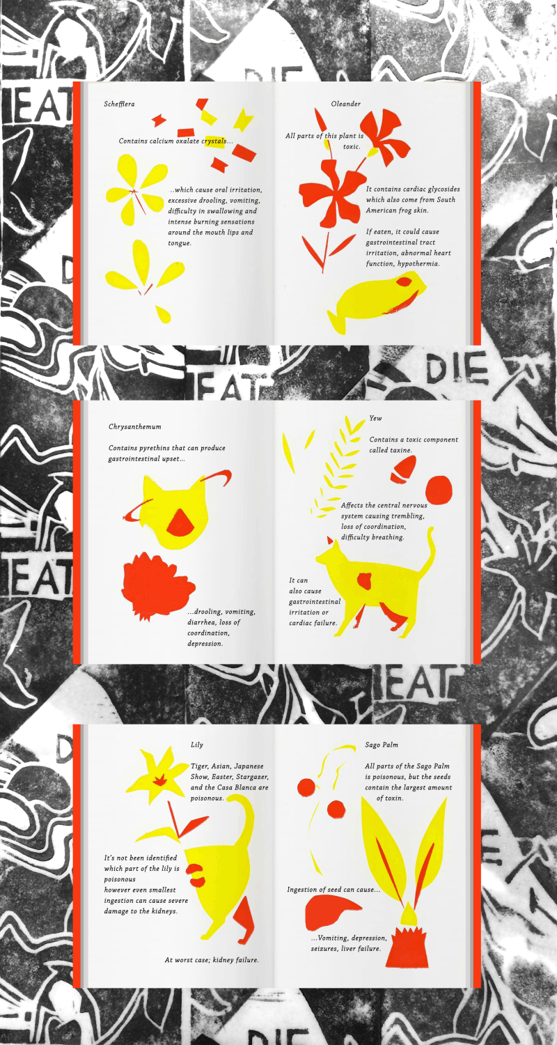 Poisonous Plants & Cute Cats | Illustration | Liliana van Velzen