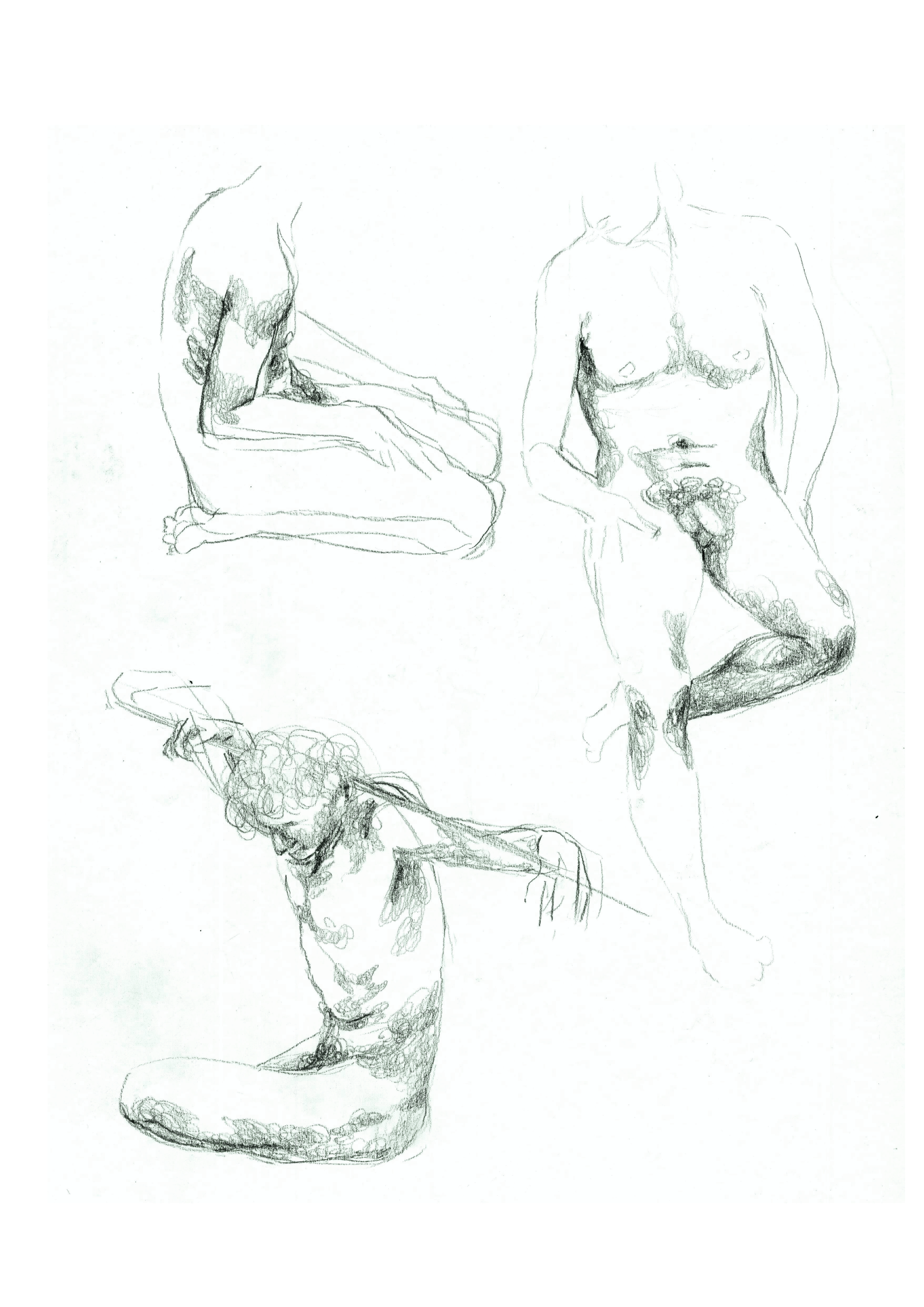 Life Drawing | Observation | Liliana van Velzen